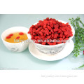 Where to buy goji berry: Buy Goji Berry and Goji goqi seeds for growing here welcome your inquiry!